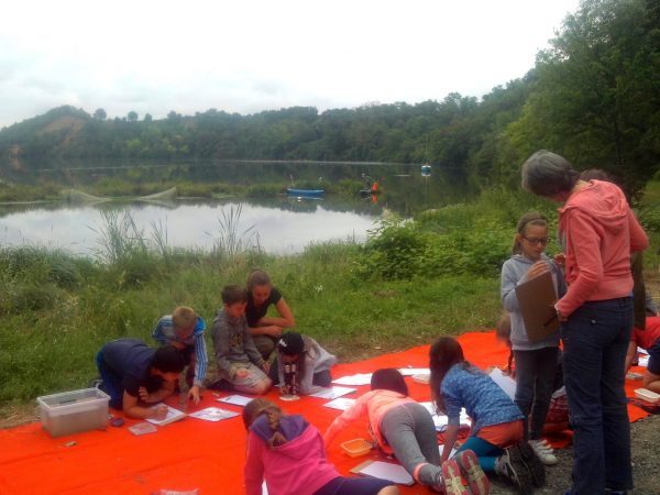 les élèves apprennent à reconnaître la faune aquatique.