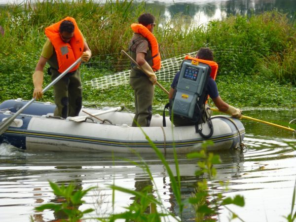 La Fédération départementale de pêche et de protection des milieux aquatiques effectue une pêche électrique