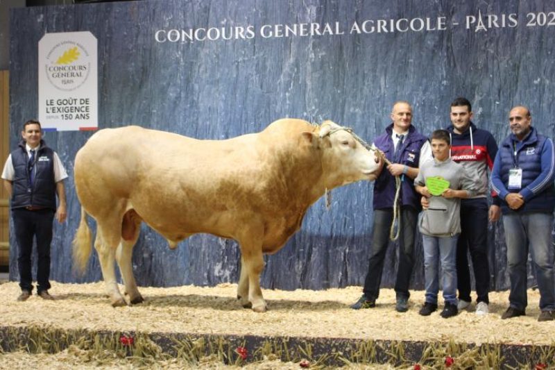 Le Pays De Cazeres Medaille Au Salon International De L Agriculture 2020 Petite Republique Com